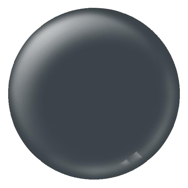 Pacifica Natural Nail Polish – Plant Magic Black Nail Polish - Plant Based, Non-Toxic & Clinically Tested - Lasting Colors, Glossy, Chip-Resistant, Clean Beauty, Dermatologist Approved Dolphin Grey