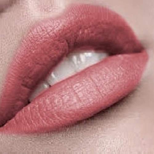 Premium Long Lasting Nude Matte Lip Liner Pencil |Totally Blush Tan Blushed Nude Ultra Wear Lip Liner