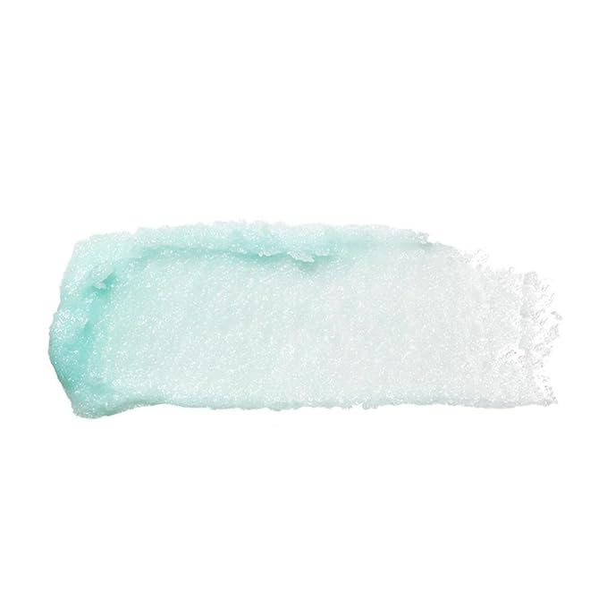 e.l.f. Lip Exfoliator, Mint Maniac, 0.11 oz.