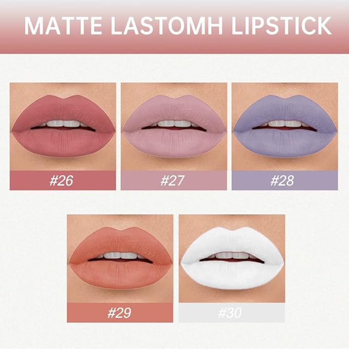 AMY'S DIARY Matte Plum Liquid Lipstick 5Pcs Sets,24-hour Lipstick White Nude Naked Gray Plum Lip Stain 24 Smudge Waterproof for Women (Set06)
