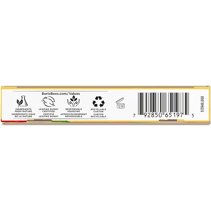 Burt's Bees Bee Mine Lip Balm