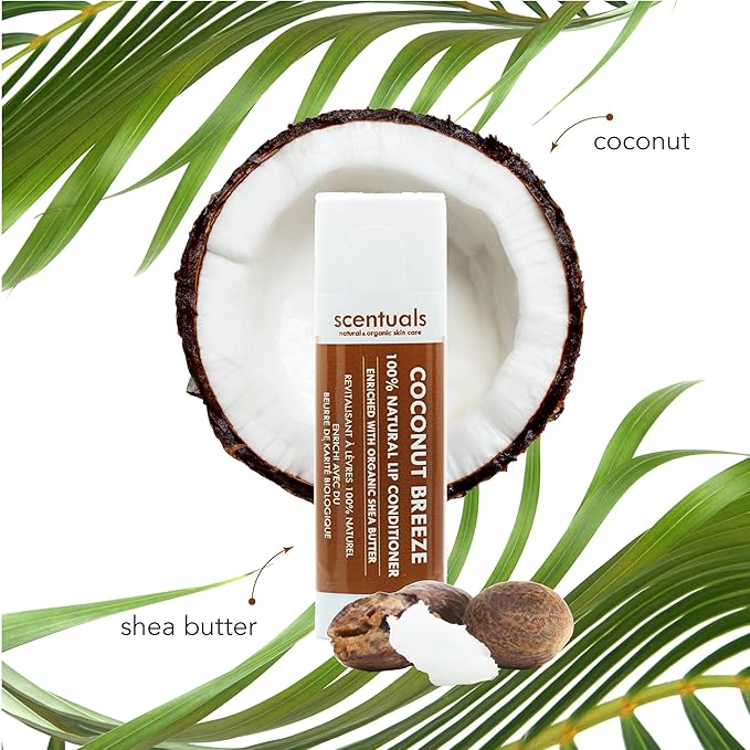 Lip Balm Set of 3, Made Natural