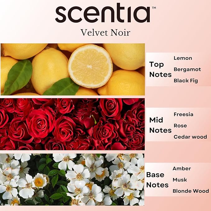 Scentia Noir Mystique -Premium Fragance Collection 20 ml (0.67 fl oz) | Essential Oil Blend of Rose, Bergamot, Lemon & Musk | Luxury Aroma for Aromatherapy Diffusers & Humidifiers, Made in USA