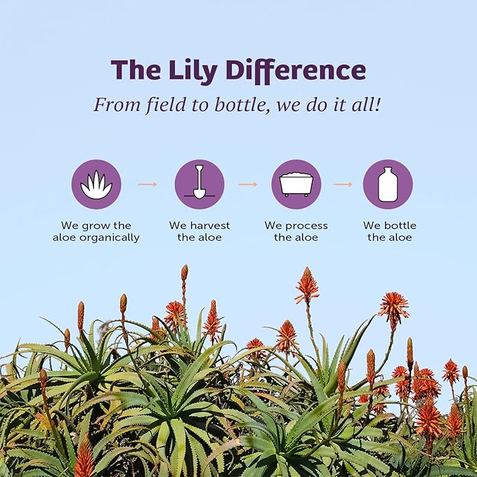 Lily Of The Desert Gelly Moisturizer - 99% Organic Aloe Vera Gel for Skin, After Sun Care with Aloe, Vitamin E Oil, and Vitamin C for Sunburn Relief, 8 Fl Oz