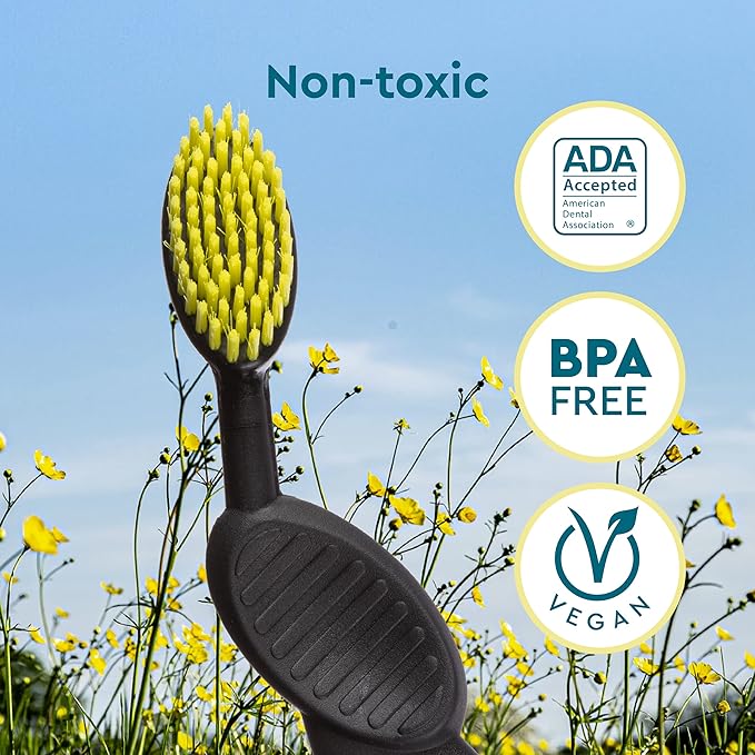 RADIUS Toothbrush, Flex Brush, Soft Bristles, Right Handed, Watermelon Brush with White Bristles, BPA Free & ADA Accepted, Pack of 1