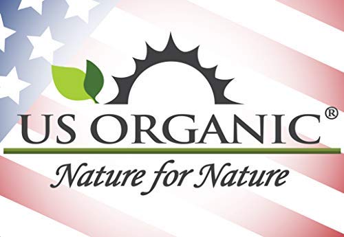 US Organic Moringa Oil, USDA Certified 100% Pure, Cold Pressed & Unrefined Non GMO, Vegan Oil, Natural Moisturizer for Skin, Face, Body, Hair, Good for Hair Growth, Fine Lines, Wrinkles (1 oz (30 ml))