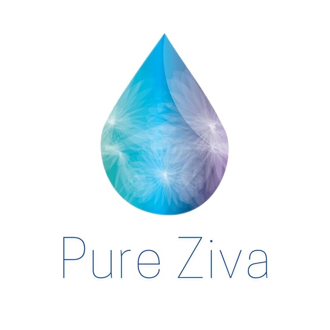 Champagne Light Gold Metallic Bronze Nude Beige Single Loose Powder Eyeshadow; Vegan, Talc & Paraben Free, No Animal Testing & Cruelty Free