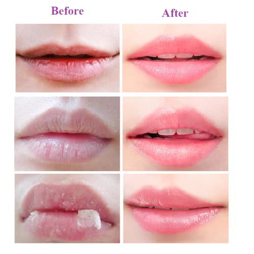 2PCS Lip Balm Honey Pot,Propolis Moisturizing