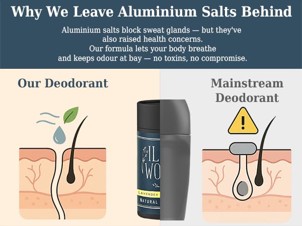 The Ilex Wood Natural Deodorant - 2.4fl oz. Handmade, Aluminum Salt Free, Plastic Free, Cruelty and Alcohol Free, Vegan, Eco Friendly Cardboard Tube – Lavender and Lemon (Fresh and Floral)