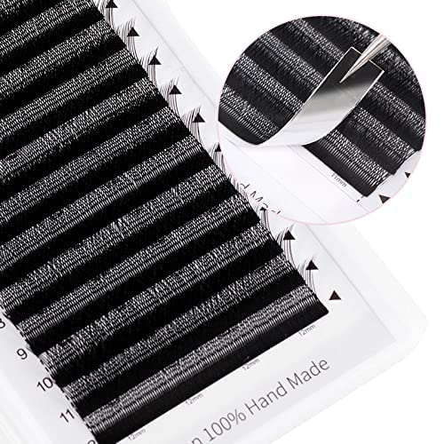 Arison Lashes 5D W Shape Eyelash Extension Natural Soft Volume Premade Fans Faux Mink Matte Black Cluster 12 rows(5DW-0.07-D-10mm)