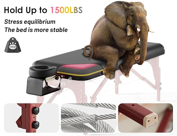 CLORIS 84" Luxury Massage Table Portable 2 Folding Lightweight Facial Salon Spa Tattoo Bed Height Adjustable with Carrying Bag & Wooden Leg Hold Up to 1500LBS