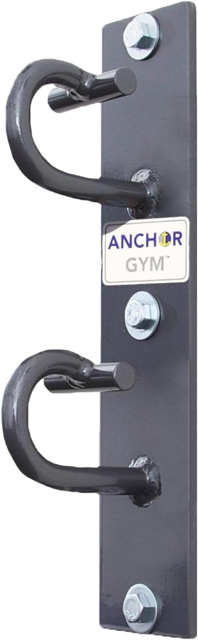 Anchor Gym H2 Mounted Anchor Single Unit