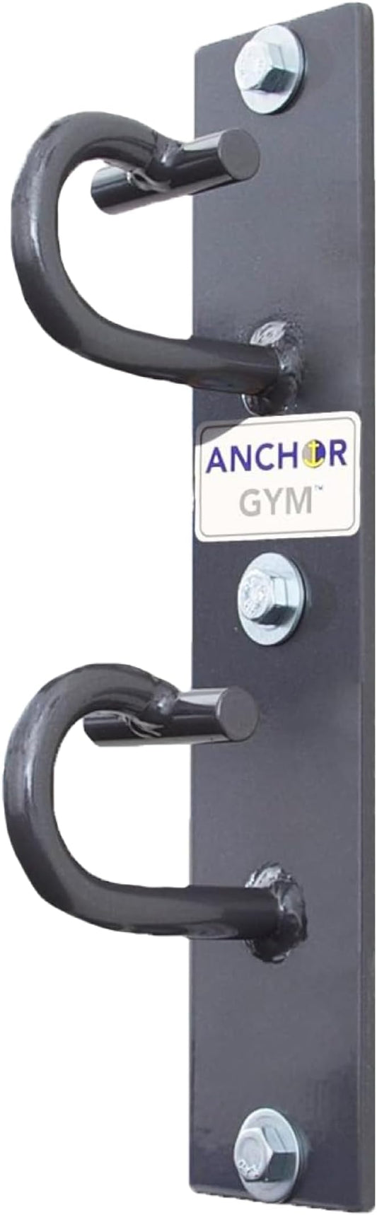 Anchor Gym H2 Mounted Anchor Single Unit