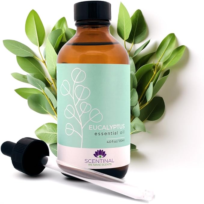 Scentinal Premium Essential Oil - 100% Pure, Natural & Authentic - Extra Large 4oz Bottle (120ml) with Eyedropper - Refreshing Aromatherapy Experience (4 oz / 120ml, Eucalyptus)