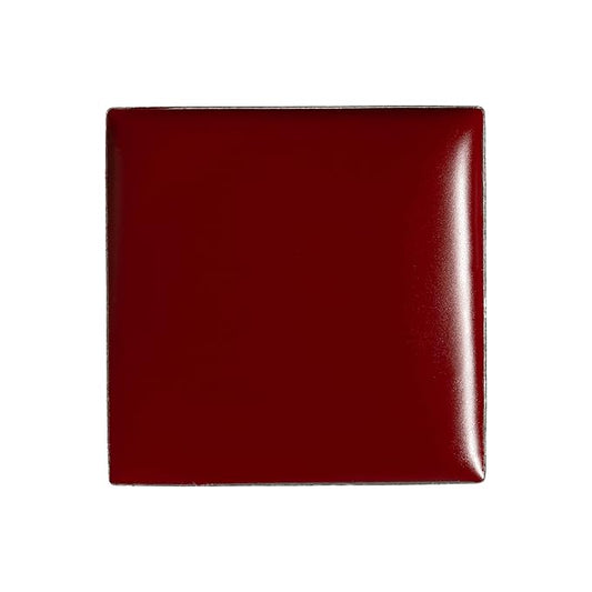 billion dollar brows Lip & Cheek Tint - Pigment