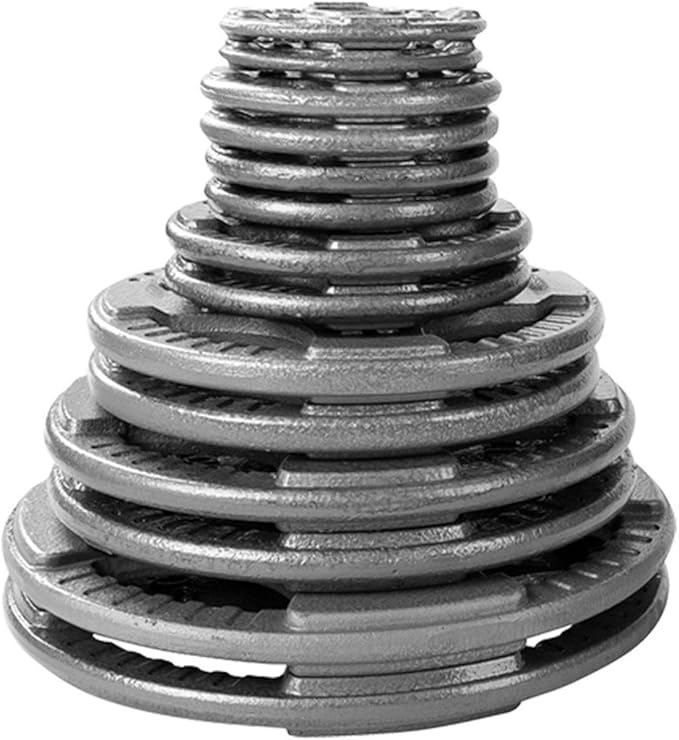 Body-Solid Cast Iron Olympic Quad Grip Design Weight 2 Inch