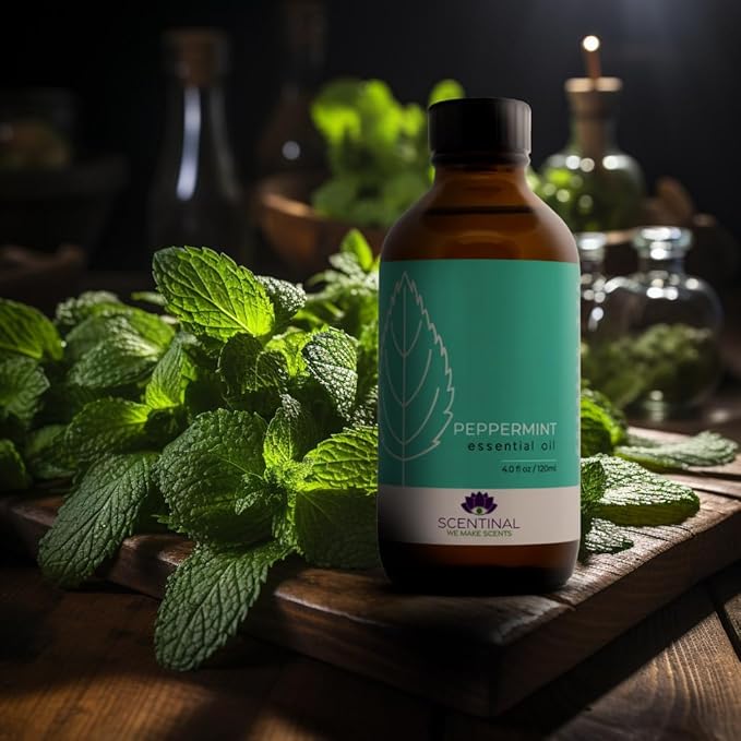 Scentinal Premium Essential Oil - 100% Pure, Natural & Authentic - Extra Large 4oz Bottle (120ml) with Eyedropper - Refreshing Aromatherapy Experience (4 oz / 120ml, Peppermint)