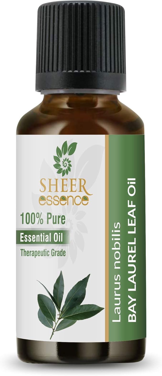 Bay Laurel Leaf Oil- (Laurus Nobilis)- Essential Oil 100% Pure Natural Undiluted Uncut Therapeutic Grade Oil 8.45 Fl.Oz.