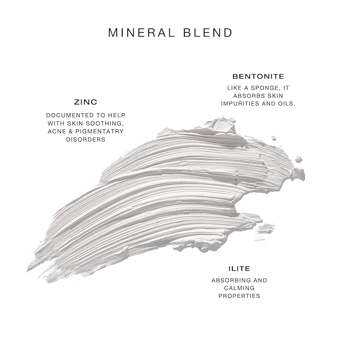 Biba De Sousa The Zinc Mask with Goji Berry Prebiotic - Gentle Pore Purifying Facial Mask - For all Skin Types & Tones - Microbiome Support - Superfruit Blend (2oz)