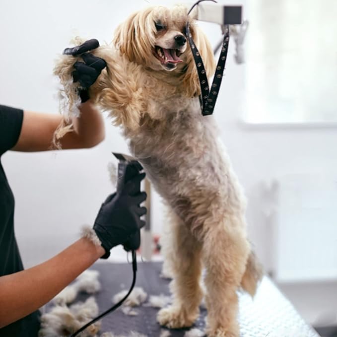 #30 Blade Dog Grooming Clipper Replacement Blades Compatible with Andis/Wahl/Oster Dog Clippers,Detachable Ceramic Blade & Stainless Steel Blade,Size-30, 1/50-Inch Cut Length (64260)