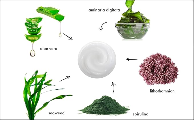 Raya Ultra-Light Seaweed Cream (304) | Anti-Aging Moisturizer for Oily, Break-Out Skin | Hydrating Face Cream Reduces Fine Lines, Wrinkles | Best Facial Moisturizer for Dry, Aging Skin | Controls Oil