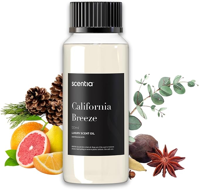Scentia Luxury Fragrance Oil Inspired by The Delano Beach Club Hotel Scent - 120 mL 4.06 fl oz - Essential Oil Blend Orange, Green Tea for Aromatherapy Diffusers - California Breeze, Summer Scent