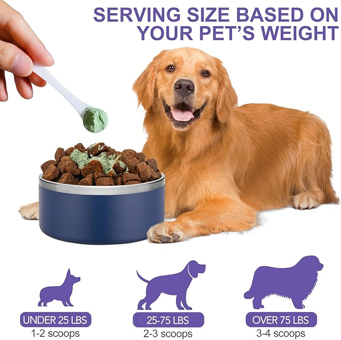 Dog Dental Powder, Dog Breath Freshener, Dog Teeth Cleaning, Plaque & Bad Breath Off, Teeth Cleaning Made Easy, Green Tea Flavor