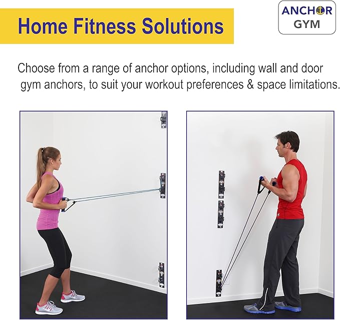 Anchor Gym H2 Mounted Anchor Single Unit