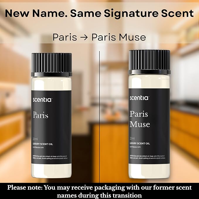 Scentia Diffuser Oil Inspired by The Hotel Costes Paris - 20 mL 0.67 fl oz - Fragrance Oil Blend Rose, Clove & Sandalwood for Aromatherapy Diffuser & Humidifiers - Paris, Thanksgiving Gift