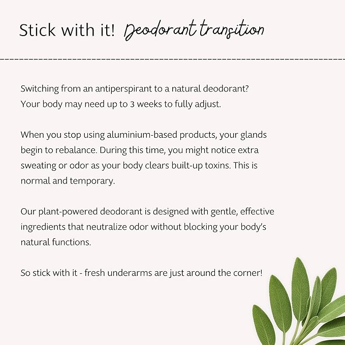 Slo | Natural Deodorant - All Natural Ingredients, Vegan & Cruelty Free, Compostable Packaging | Cedar + Sage, (1.94oz/55g)
