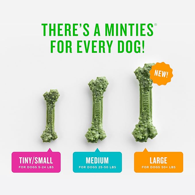 Minties Dental Chews for Dogs, 36 Count, Vet-Recommended Mint-Flavored Treats for Large Dogs Over 50 lbs, Dental Bones Clean Teeth, Fight Bad Breath, and Removes Plaque and Tartar