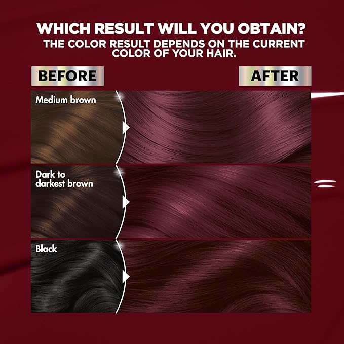 Garnier Hair Color Nutrisse Ultra Color Nourishing Creme, BR3 Intense Burgundy (Lotus Berry) Red Permanent Hair Dye, 1 Count (Packaging May Vary) (Pack of 2)
