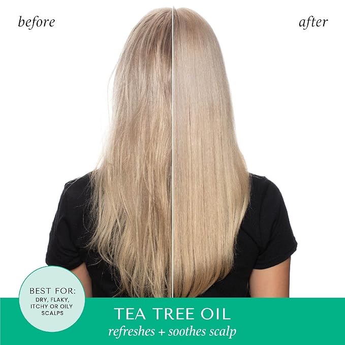 HASK Invigorating TEA TREE OIL 5-in-1 Leave In Conditioner Duo (6oz-Qty 2) & Deep Conditioner Packette, Aluminum-Free, Sulfate-Free, Paraben-Free, Color Safe, for All Hair Types