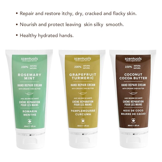 Scentuals Hand Cream Set of 3, with Shea Butter, Cocoa Butter, Argan & Almond oil, Moisturizing Dry Hands, (Grapefruit Turmeric + Rosemary Mint + Coconut Cocoa Butter) 60 ml (2 fl.oz.) x 3