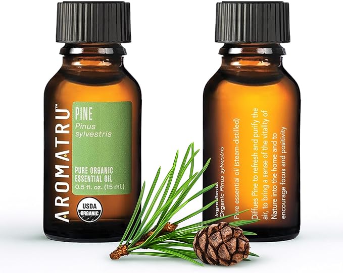 Breathe Essential Oil Kit – Spanish Sage, Pine, Lemon Eucalyptus, and Ravintsara – Organic & Wildcrafted – ISO Certified – No Synthetic Fillers – Ethically Sourced