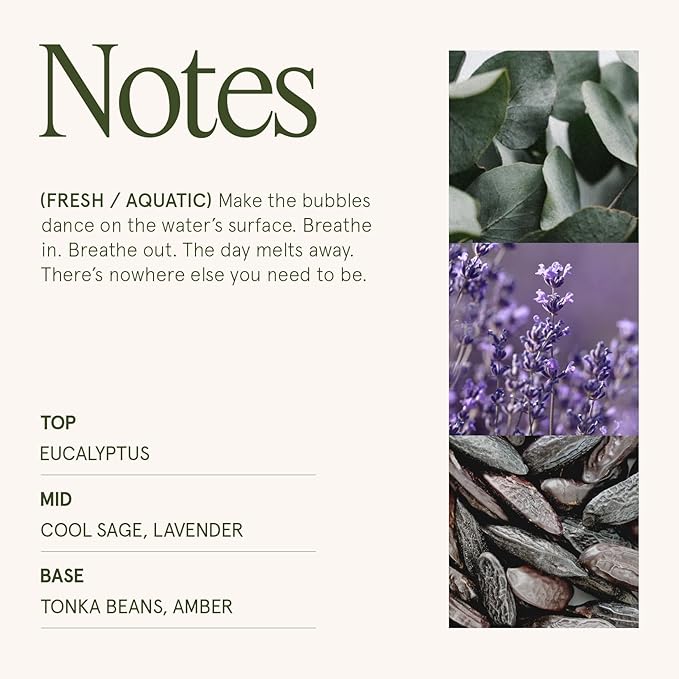 LA JOLIE MUSE Eucalyptus & Apline Sage Scented Candle | Eucalyptus, Sage, Lavender | 12 oz Double Cotton Wick Soy Candle | 60 Hours Clean Burn | Daily Relaxation & Cozy Ambiance | Elegant Home Decor