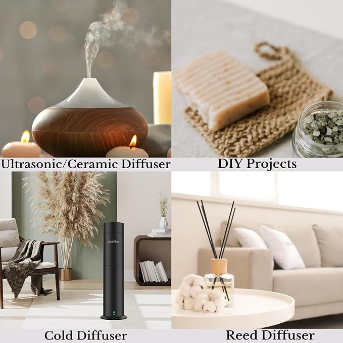 Scentia Premium Fragrance Oil Blend - 120 ml 4.06 fl oz - Essential Oil Blend with White Tea for Waterless & Ultrasonic Aroma Diffuser - Dream Walk