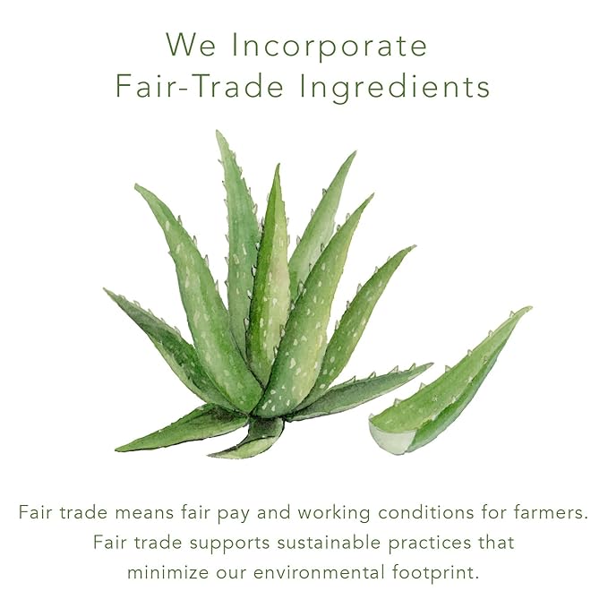 emerginC Sun SPF 30+ Non-Greasy Sunscreen - Face Sunscreen with Zinc Oxide, Vitamin C + Aloe - Non-Tinted Sunblock Cream (4.2 oz, 125 ml)