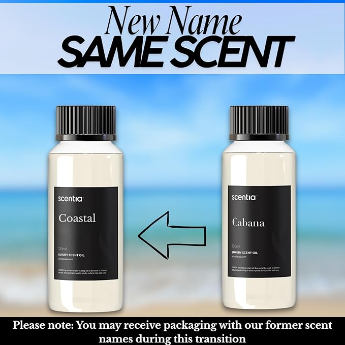 Scentia Coastal Diffuser Oil Inspired by 5-Star Spa Scent - 120 mL 4.06 fl oz - Essential Oil Blend Botanical Jasmine, Bergamot & Fresh Notes for Aromatherapy &Waterless Diffusers