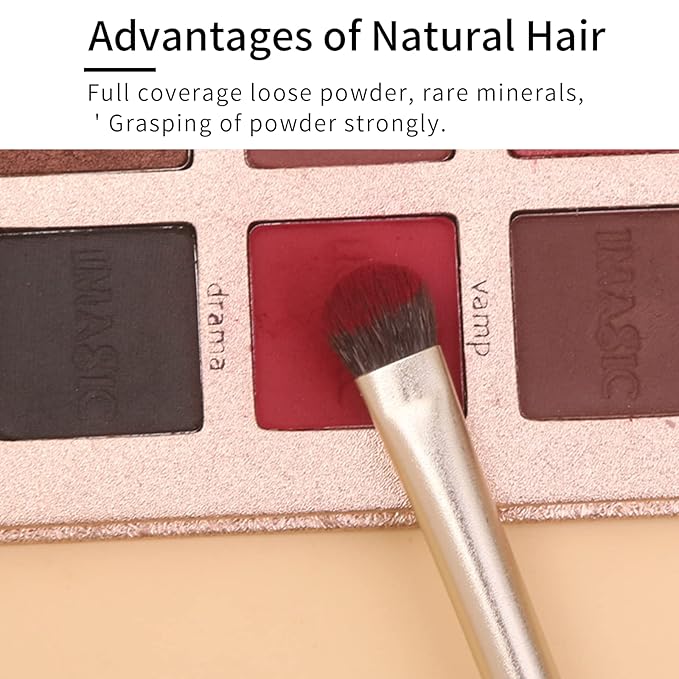 ENZO KEN Natural Goat Hair Eye Shadow Brush Set, Pony Hair Eyeshadow Brushes Set, Small Nose Contour Brush, Angled Eyeshadow Brush, Eyeshadow Blending Brush, Eye Makeup Brushes Set Professional - E200