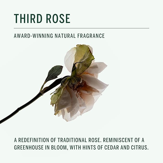 Corpus - Third Rose Body Wash | Moisturizing Plant-Based Cleanser for Women & Men, Skincare-Grade Oils & Botanical Extracts | Sulfate-Free, No Synthetic Fragrance or Parabens (266 ml/ 9 fl oz)