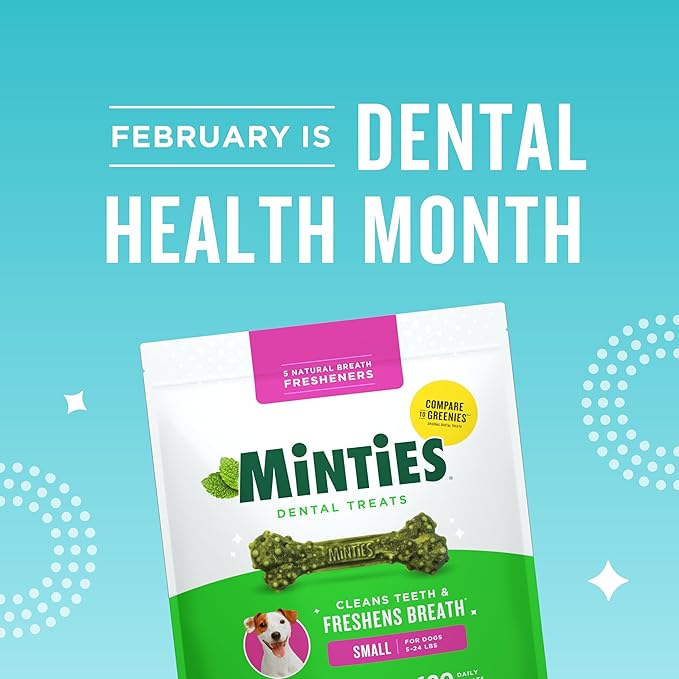 Minties Dog Dental Bone Treats, Tiny/Small Dental Dog Treats, Clean Teeth, Fight Bad Breath, Removes Plaque and Tartar, 80 Count