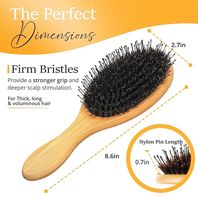 Belula Boar Bristle Hair Brush - Hair Brushes for Women & Mens Hair Brush, Detangler Brush, Hairbrush, Detangling Brush for Long, Curly or Any Type of Hair.