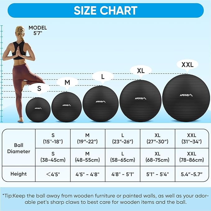 APEXUP Yoga Ball Exercise Ball Anti Slip Heavy Duty for Fitness, Balance & Core Workout