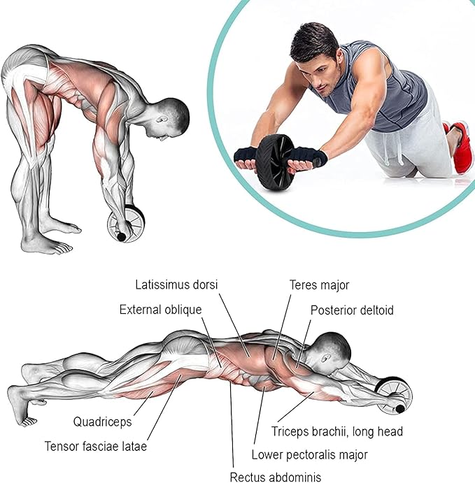 Abdominal Trainer Wheel - Abdominal Exercise Equipment