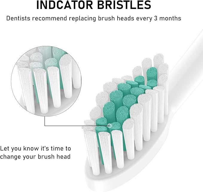 Toothbrush Heads, 4 Pack Electric Toothbrush Replacement Heads for Philips Sonicare Soft Dupont Bristles Replacement Toothbrush Heads for Oral Care