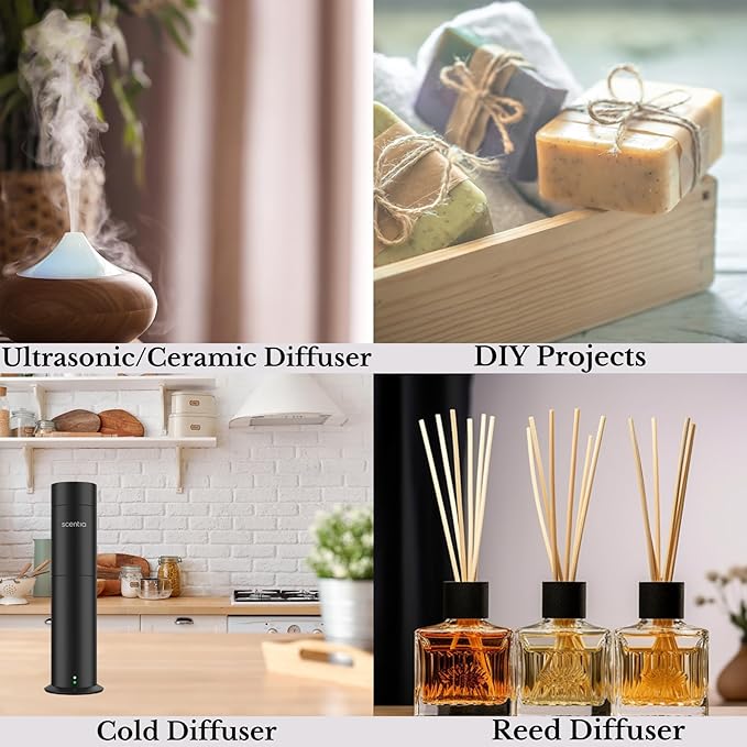 Scentia Essential Oil Blend Inspired by The Hotel Costes Paris Scent - 50 mL 1.69 fl oz - Fragrance Oil Blend of Rose, Clove & Sandalwood for Aromatherapy Diffuser & Humidifiers -Paris Muse