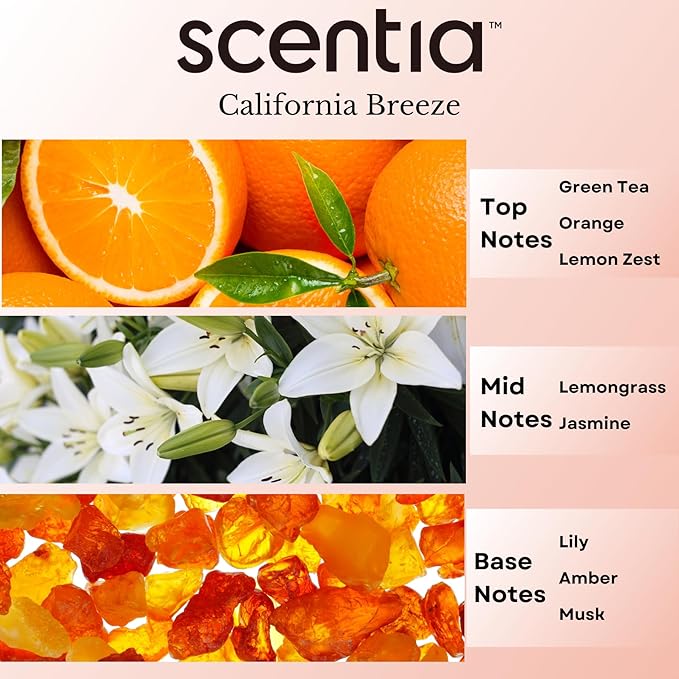 Scentia Diffuser Oil Inspired by The Delano Beach Club Hotel Scent - 20 mL 0.67 fl oz - Essential Oil Blend Orange, Green Tea & Jasmine for Aromatherapy Diffusers - California Breeze