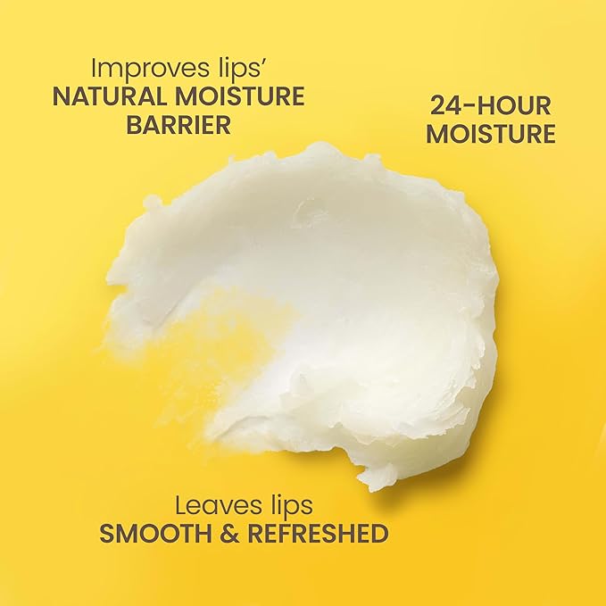 Burt's Bees 100% Natural Moisturizing Lip Balm, Vanilla Bean - 4 Tubes