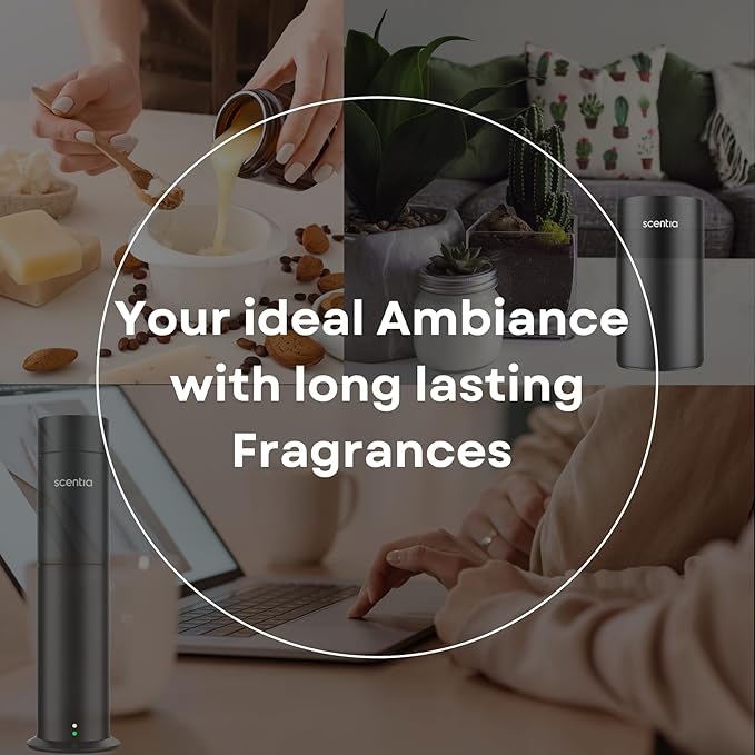 Scentia Premium Fragrance Oil Blend - 120 ml 4.06 fl oz - Essential Oil Blend with White Tea for Waterless & Ultrasonic Aroma Diffuser - Dream Walk